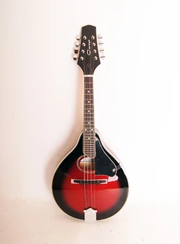 Ma-002-n mandolin, Caraya